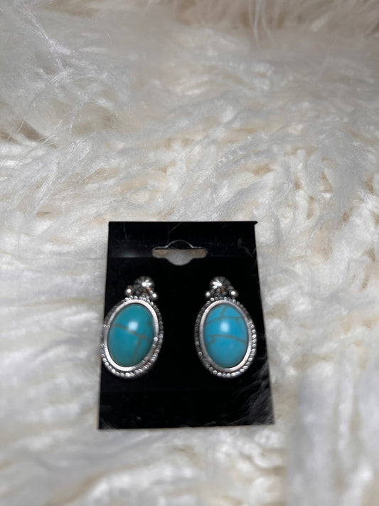 Oval Turquoise Earrings